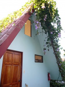 A-frame accommodations at Pura Vida Spa in Costa Rica
